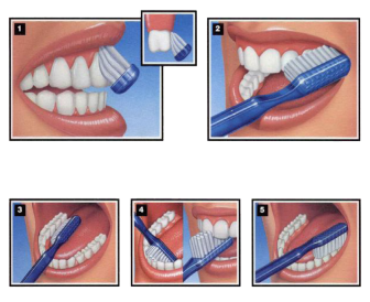 How to brush your teeth